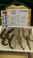 蝦子